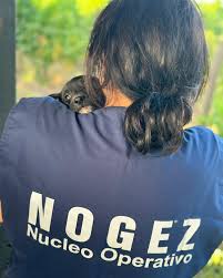 nogez101
