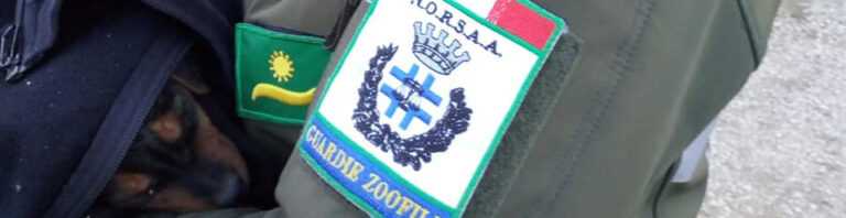 Guardie Zoofile Ambientali Norsaa Roma logo cop 768x198