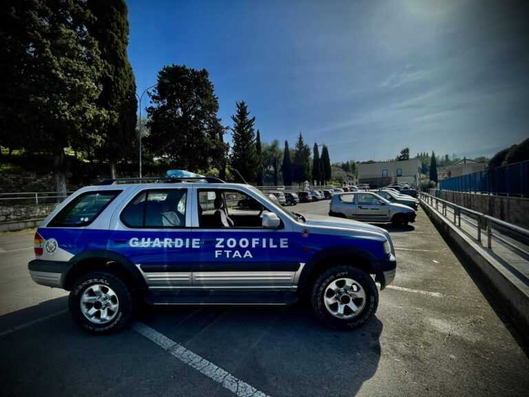 Guardie Zoofile Firenze cop 768x576