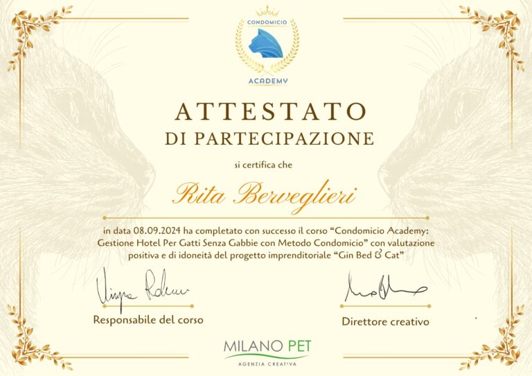 attestato academy berveglieri  768x543