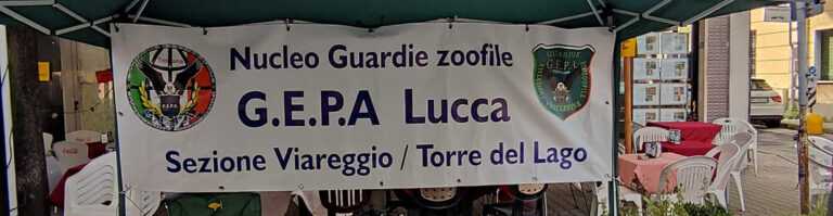 guardie zoofile GEPA 768x199