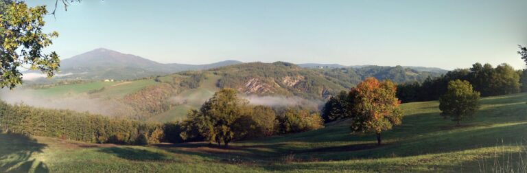 20151011 090025 PANO 768x252