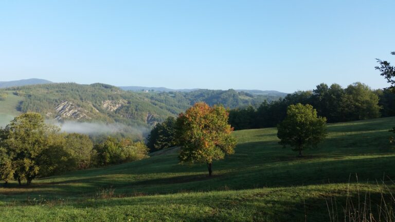 20151011 090031 768x432