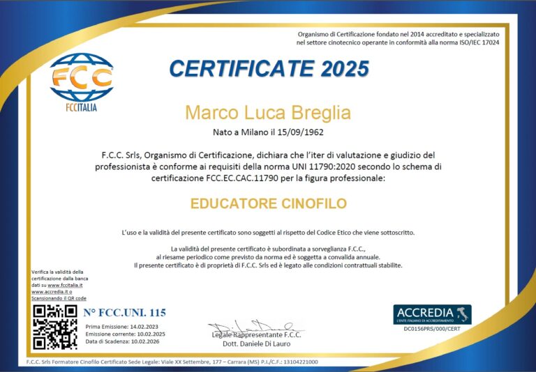 attestato 2025 768x534