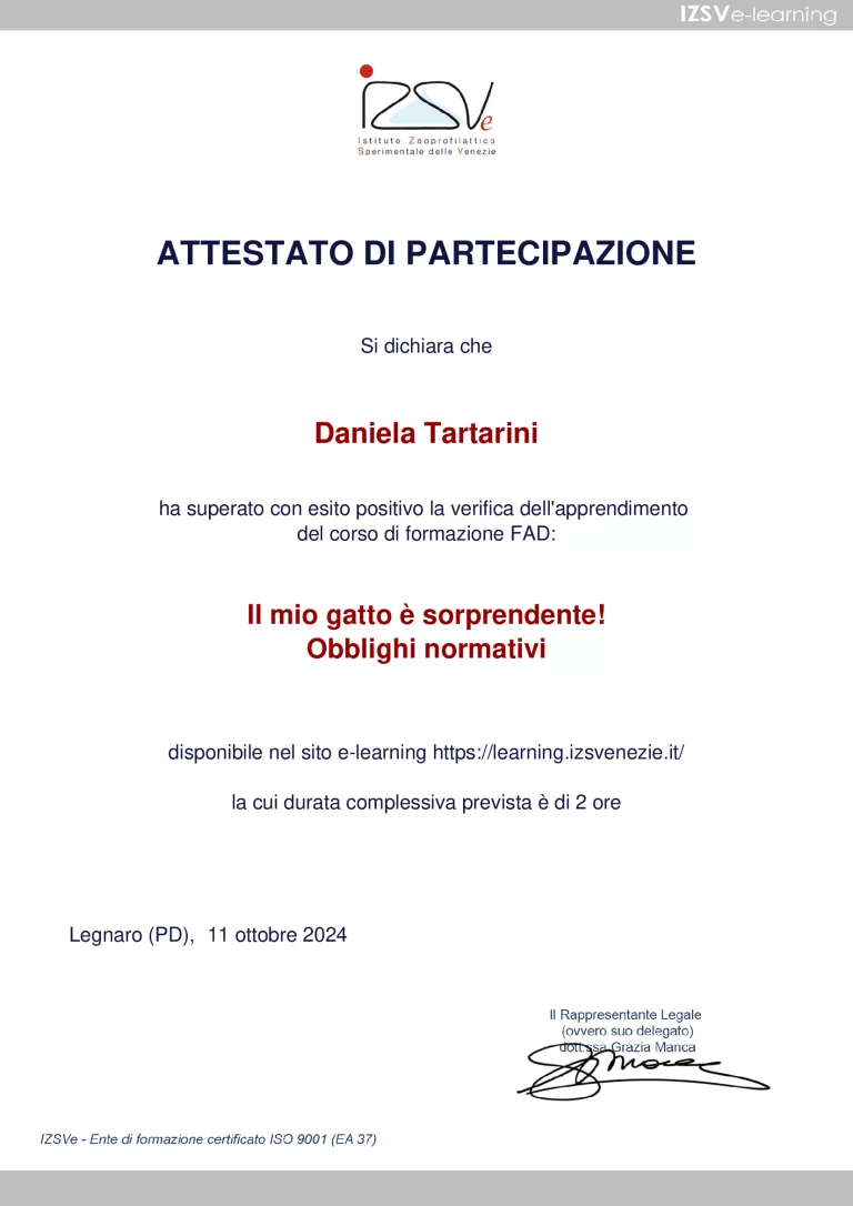 Attestato Obblighi normativi 768x1086