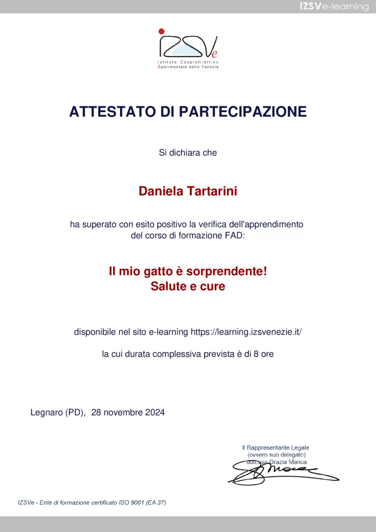 Attestato di partecipazione salute e cure 768x1086