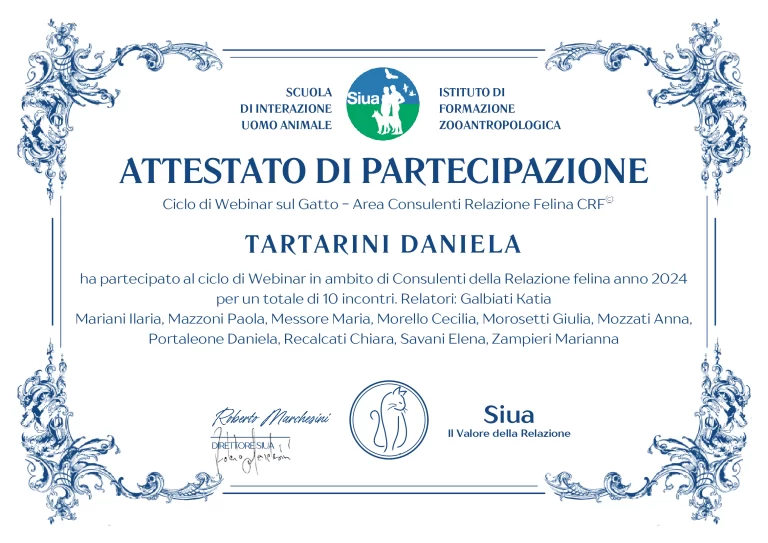 Webinar siua 2024webp 768x543
