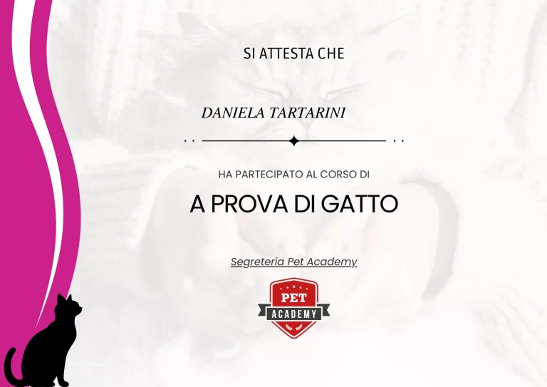 attestato A prova di gatto 768x543