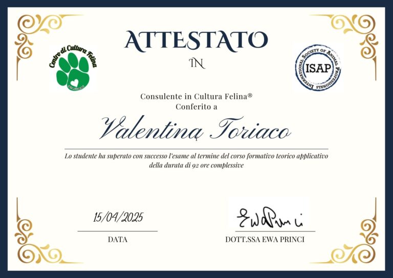 Diploma 768x543