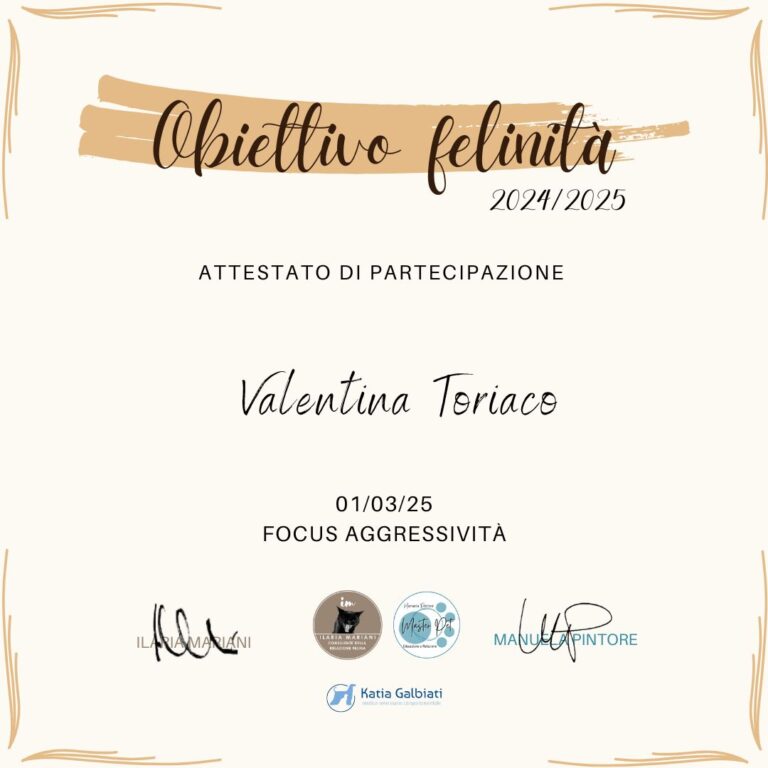 Focus aggressivita 768x768