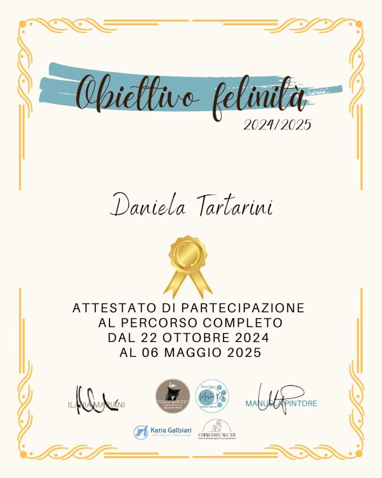 Obiettivo felinita 768x960