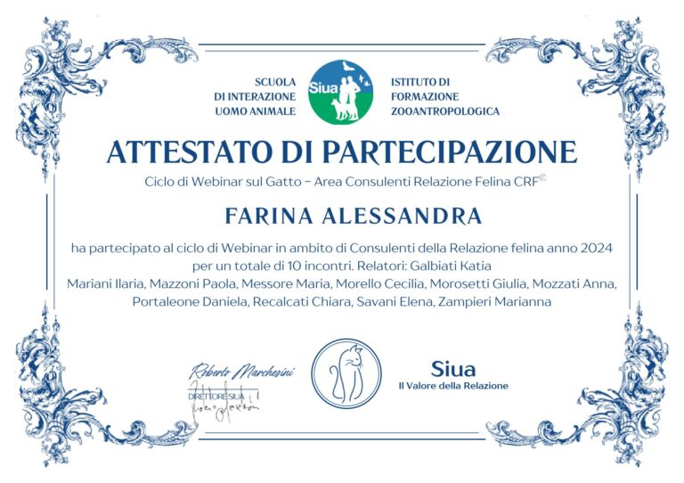 FARINA attestato Webinair gatto 2024 768x542