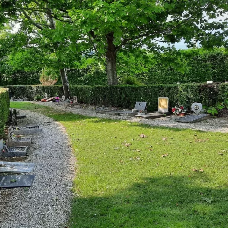 Cementerio de mascotas 3 1 768x768