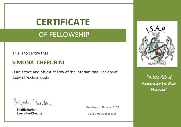 ISAP Simona Cherubini Fellow 24 768x540