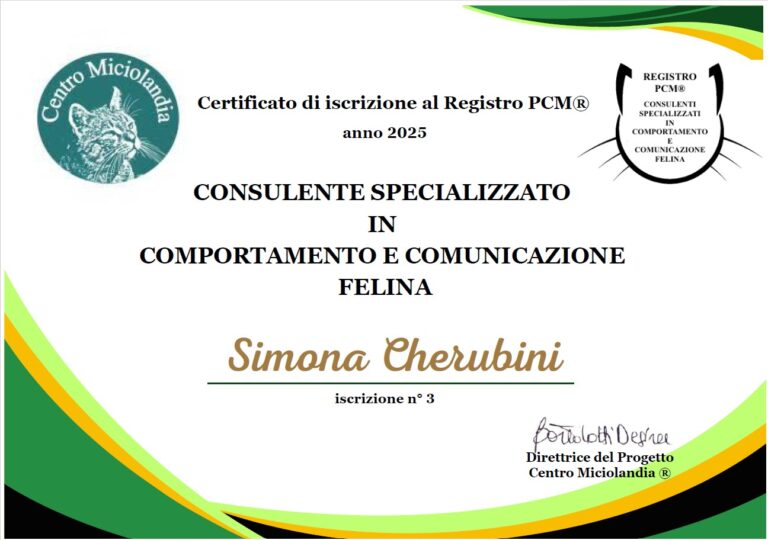 PCM 25 CHERUBINI S. 1 768x540