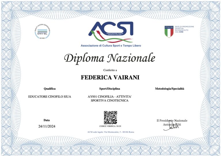 ATTESTATO Acsi 768x543