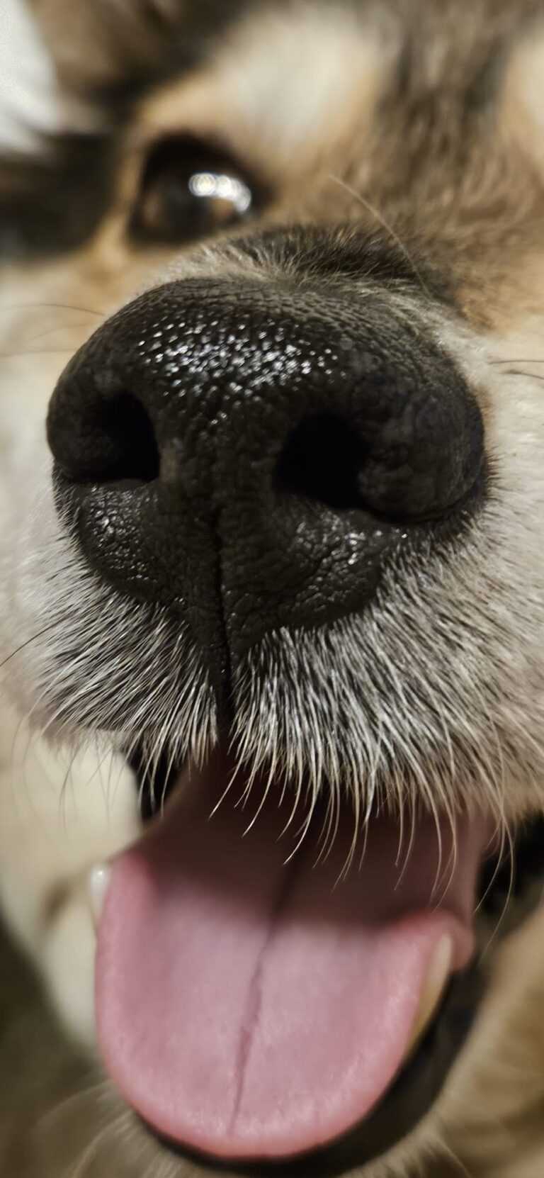 IMG 20240708 WA0028 768x1662