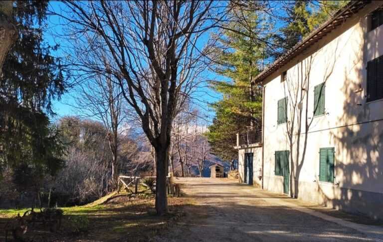 casa rome cop 768x485