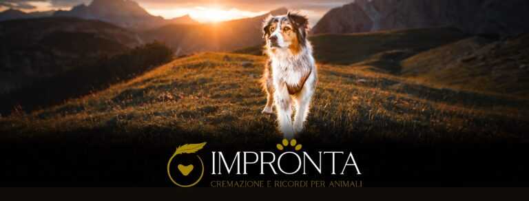 impronta cremazioni cop 768x292