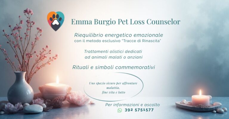 inserzione fb1 768x402