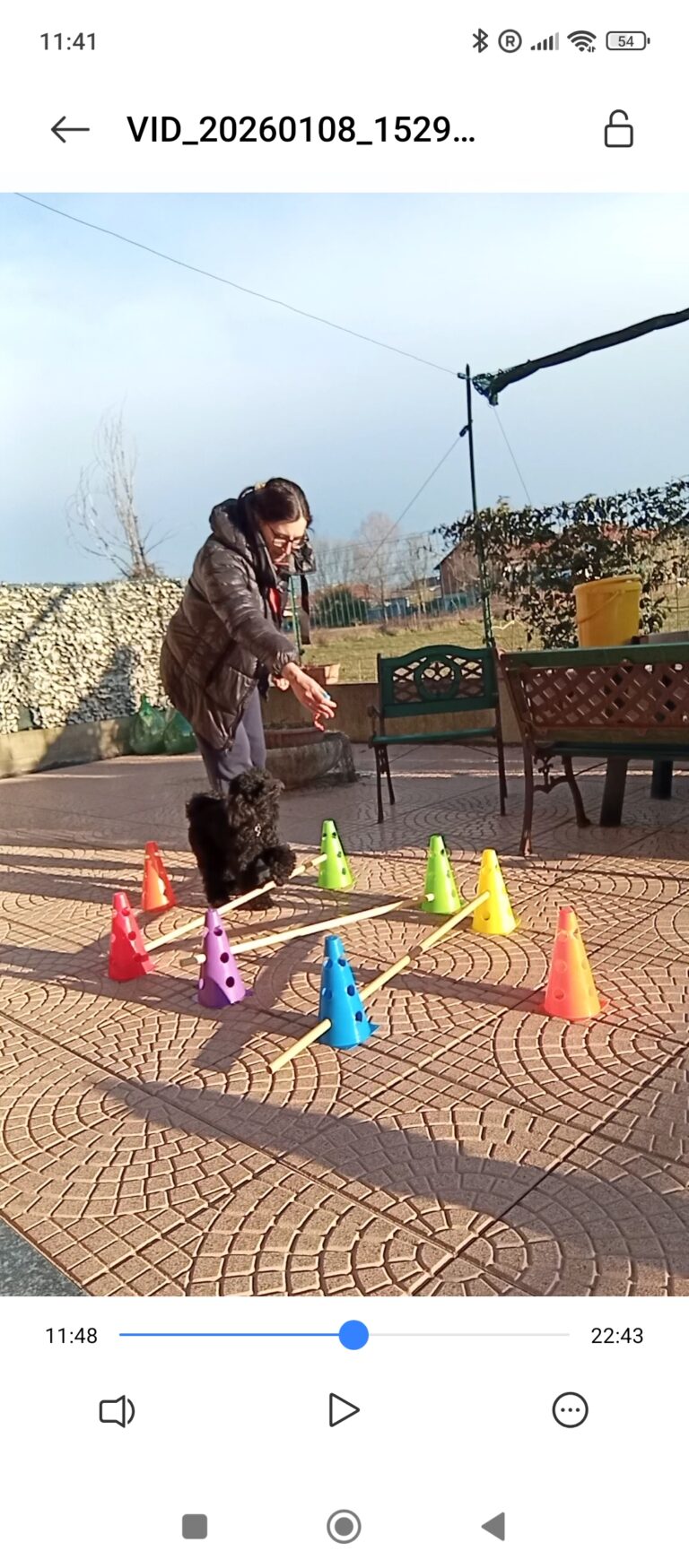 1000066975 768x1749