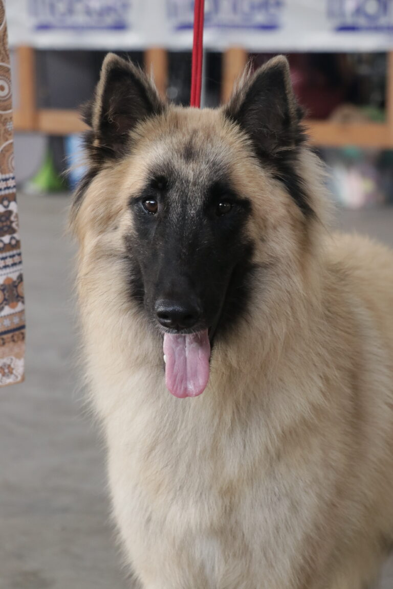 1000115911 768x1152