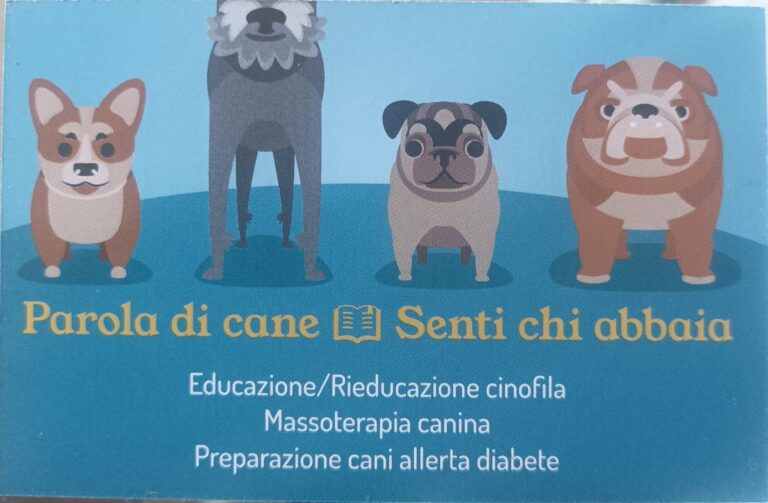 5d1e14ff 4df2 4b42 b0e5 6cd1c0a4db9e 1 768x503