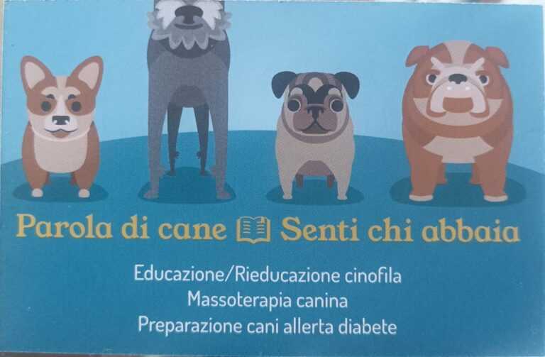 5d1e14ff 4df2 4b42 b0e5 6cd1c0a4db9e 768x503