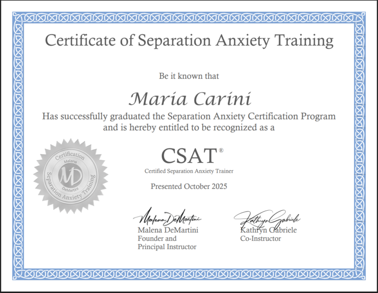 CSAT Certificate 768x594