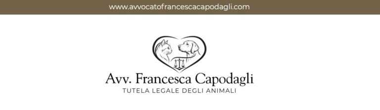 IMMAGINE COPERTINA 768x223