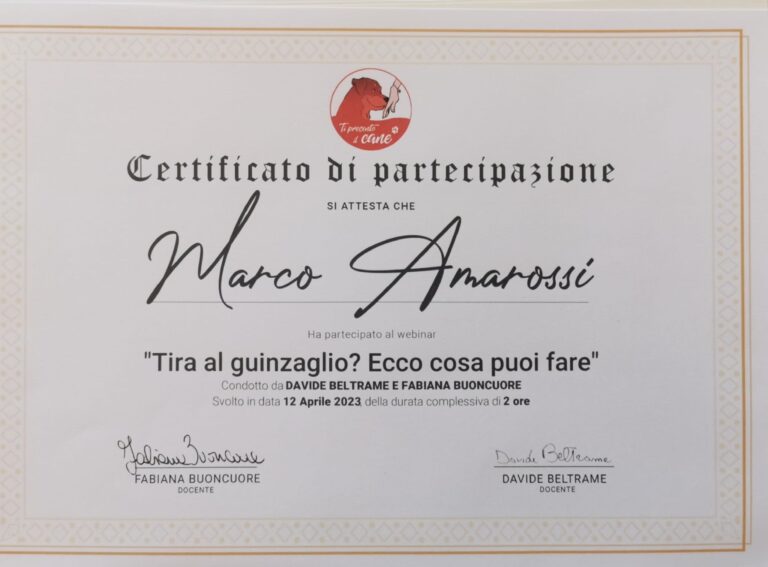 dipl. tira al guinzaglio 768x567