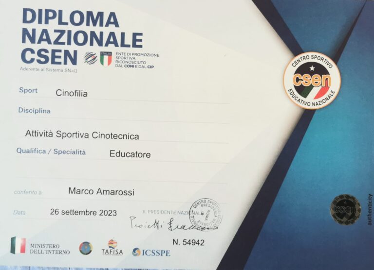 diploma csen 768x556