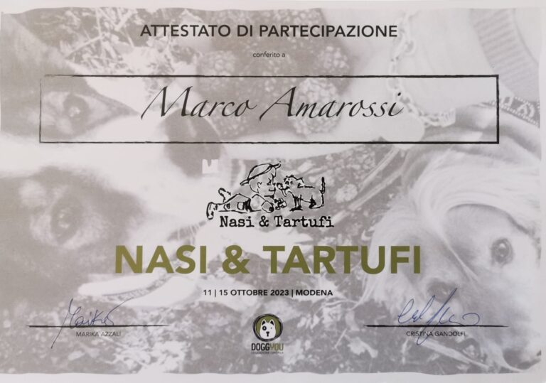 diploma nasi e tartufi 768x539