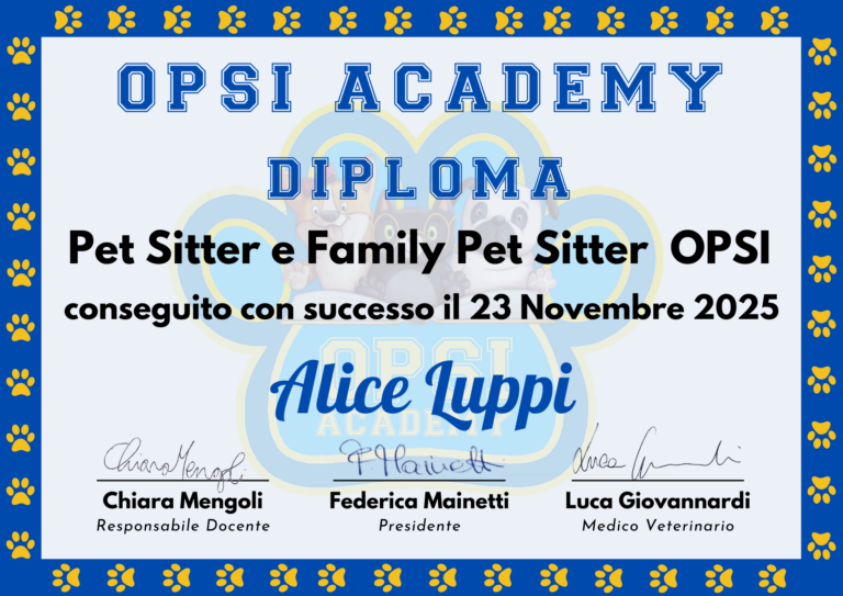 DIPLOMA OPSI ACADEMY ALICE LUPPI 768x543