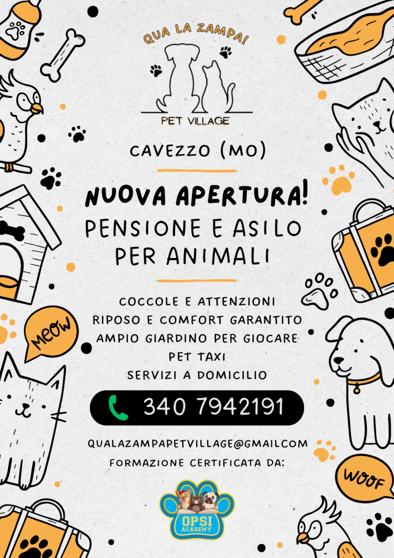Volantino 768x1086