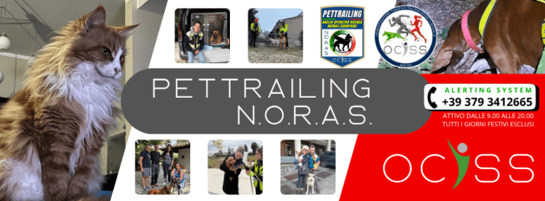 noras cop 768x284