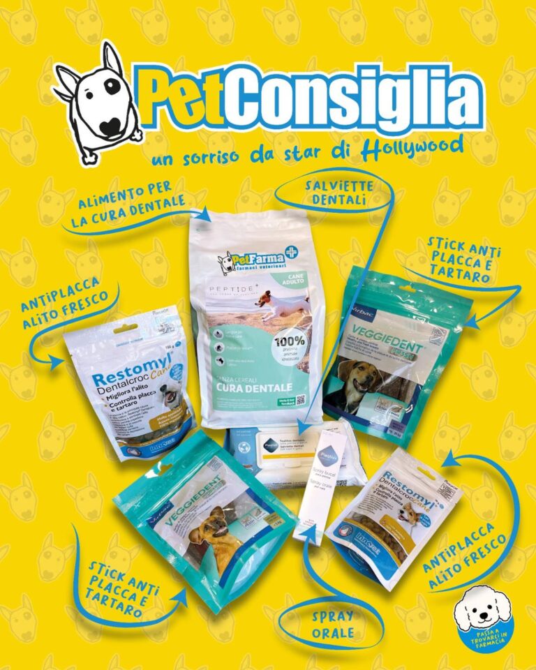 petfarma04 768x960