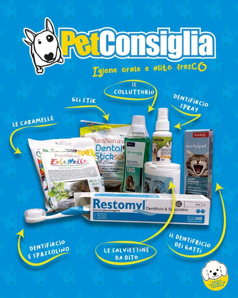 petfarma06 768x960