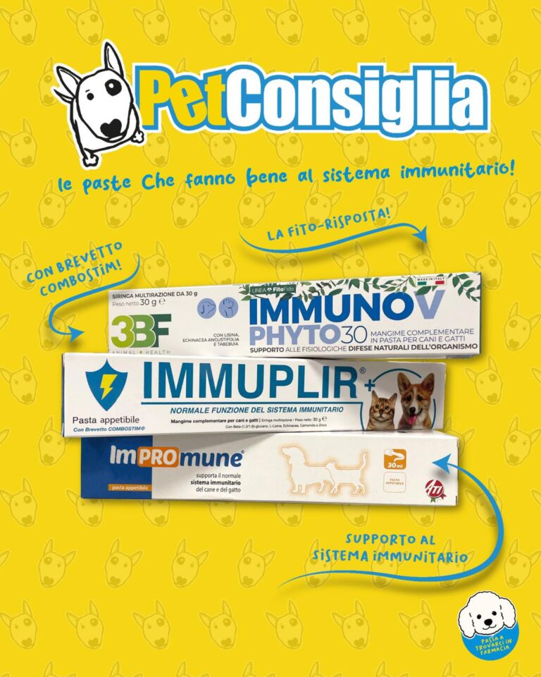 petfarma07 768x960