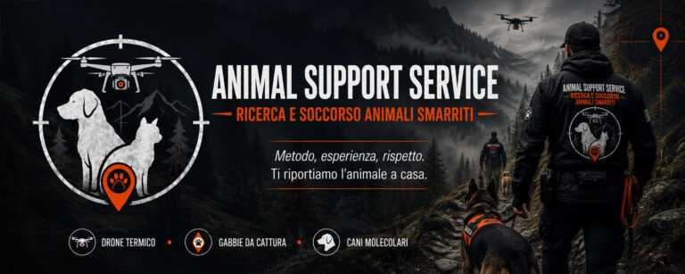Immagine copertina 768x307