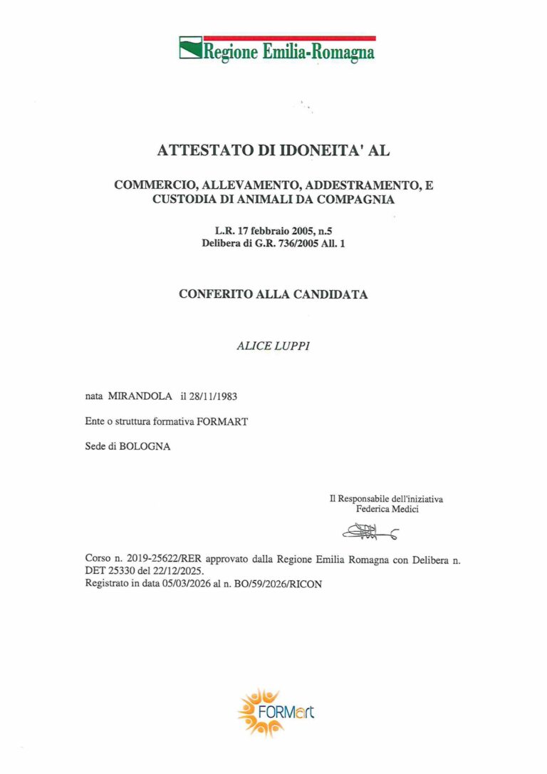 doc04852920260609174031 immagini 0 768x1086