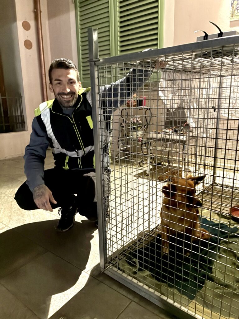 foto migliorata cane gabbia 768x1024