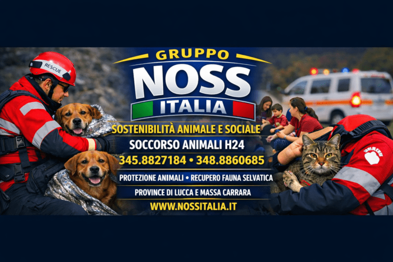 NOSS Italia cop 768x512
