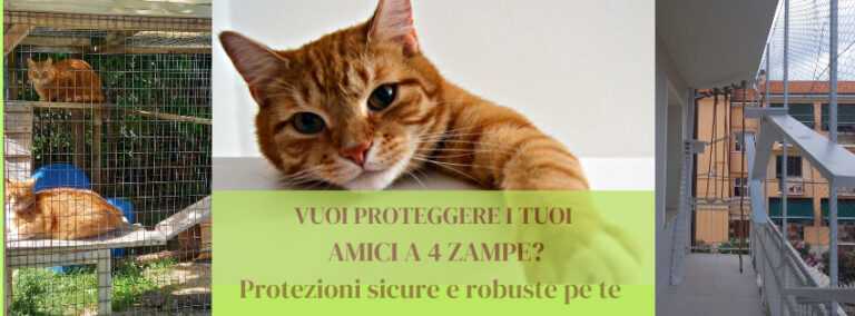 ingenia cop 768x284
